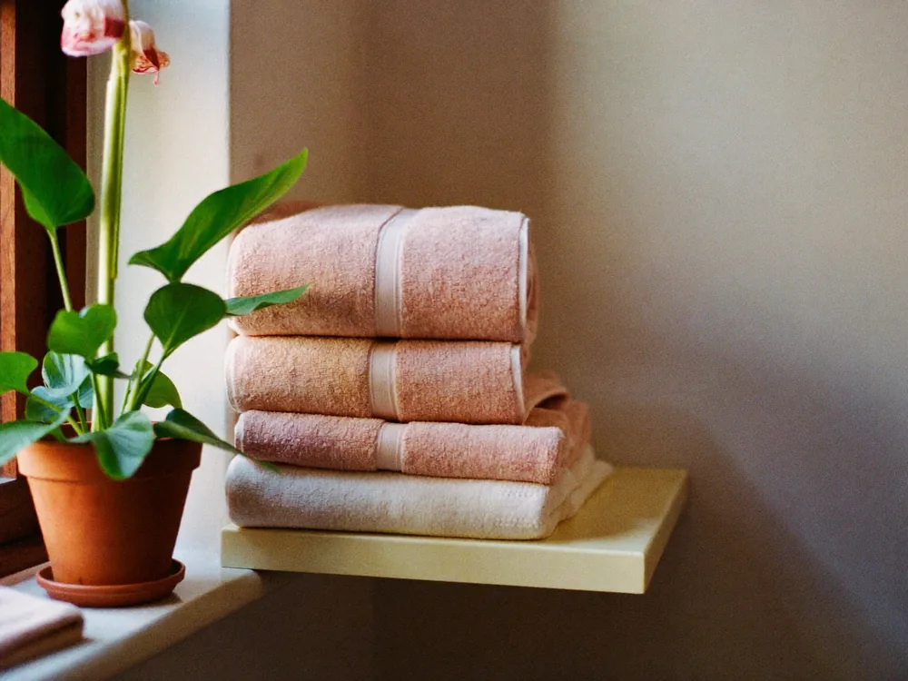 A plant on the windowsill and folded towels on a shelf